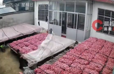 
中国医学科学院阜外医院田涛吕思琪李林林胡晓鹏黄牛挂号电话9岁姐姐带7岁弟