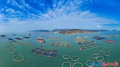 上海市第六人民医院张长青韩培贾伟涛黄牛挂号电话连续六年全省优秀!福州