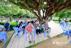 南京各大医院黄牛挂号电话实干绘就振兴画卷 奋进谱写富民新篇——福州推进