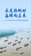 天津各大医院黄牛挂号电话长江经济带书写高质量发展新篇章