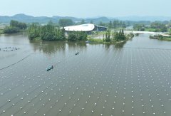 309医院黄牛号贩子票贩子代网上预约代挂号电话浙江德清:文化托举发展之路
