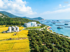南京各大医院黄牛挂号电话福清:奋力书写农业农村现代化新篇章