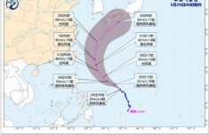 上海岳阳中西医结合医院黄牛号贩子票贩子代网上预约代挂号电话台风“蔷薇
