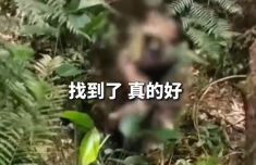 浙江大学医学院附属第一医院任萍萍章爱斌姚磊黄牛挂号电话男童走失13天后被