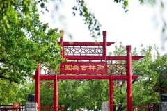 江苏省中医院黄牛号贩子票贩子代网上预约代挂号电话央视一套《山水间的家