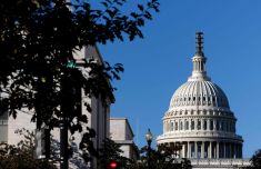 上海市肺科医院朱余明张鹏谢冬李霞李惠萍李爱武熊安稳陈晓霞周崧雯黄牛挂