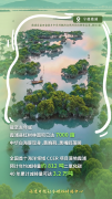 重庆各大医院各科室刘权兴戴纪刚黄牛挂号电话福建的“清新”到底有多硬气
