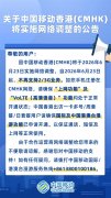 天津中医药大学一附院黄牛号贩子票贩子代网上预约代挂号电话中国移动香港