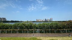 南京医科大学第二附属医院黄牛号贩子票贩子代网上预约代挂号电话守护蔚蓝