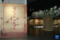 天津市口腔医院黄牛号贩子票贩子代网上预约代挂号电话中国闽台缘博物馆: