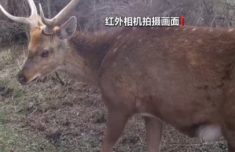 上海华山医院黄牛号贩子票贩子代网上预约代挂号电话立体巡护+全民参与 他们