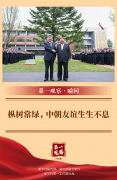 309医院黄牛号贩子票贩子代网上预约代挂号电话第一观察·瞬间|枞树常绿,中