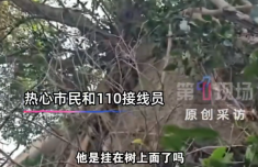 
上海复旦大学附属华山医院赵重波徐文武陈亮周丽诺徐峰孙新芬黄牛挂号电话