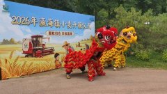 北京宣武医院陈飞李海峰林华张鸿祺吴浩王硕张东刘鹏黄牛挂号电话麦浪飘香