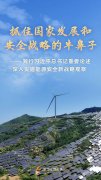 西苑医院黄牛号贩子票贩子代网上预约代挂号电话践行习近平总书记重要论述