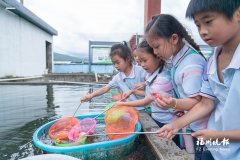 
天津医科大学总医院钟跃岳树源刘辉黄牛挂号电话海峡（福州）渔业周闽侯金
