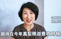 东南大学附属中大医院黄牛号贩子票贩子代网上预约代挂号电话帮台农拓销路
