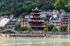 上海肺科医院黄牛号贩子票贩子代网上预约代挂号电话“粽”享端午 1.24亿人次