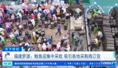 304医院黄牛号贩子票贩子代网上预约代挂号电话“海上牧场”丰收引来外地采