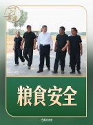 西安各大医院黄牛挂号电话习言道|走到田间地头,总书记说完夏粮说秋粮