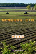 广州市第八人民医院黄牛号贩子票贩子代网上预约代挂号电话学习手记|精打