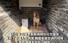 上海交通大学附属第九人民医院苏薇洁吴巍林嘉盈郭海燕冒小燕傅瑶宋欣王珮