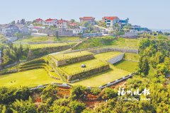 天津中医药大学第一附属医院黄牛挂号电话百年球场见证中美鼓岭情缘